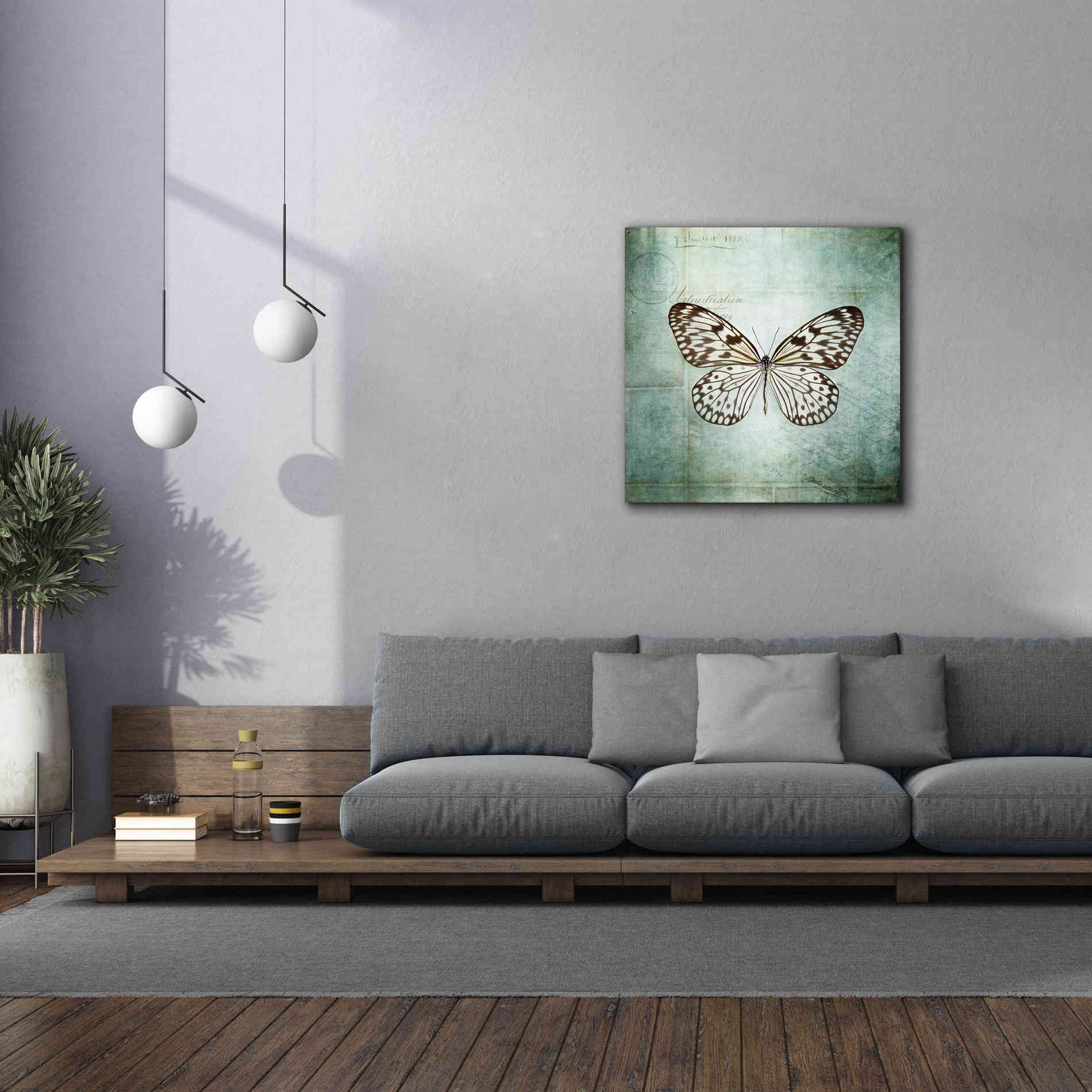 'French Butterfly V' by Debra Van Swearingen, Canvas Wall Art,37 x 37