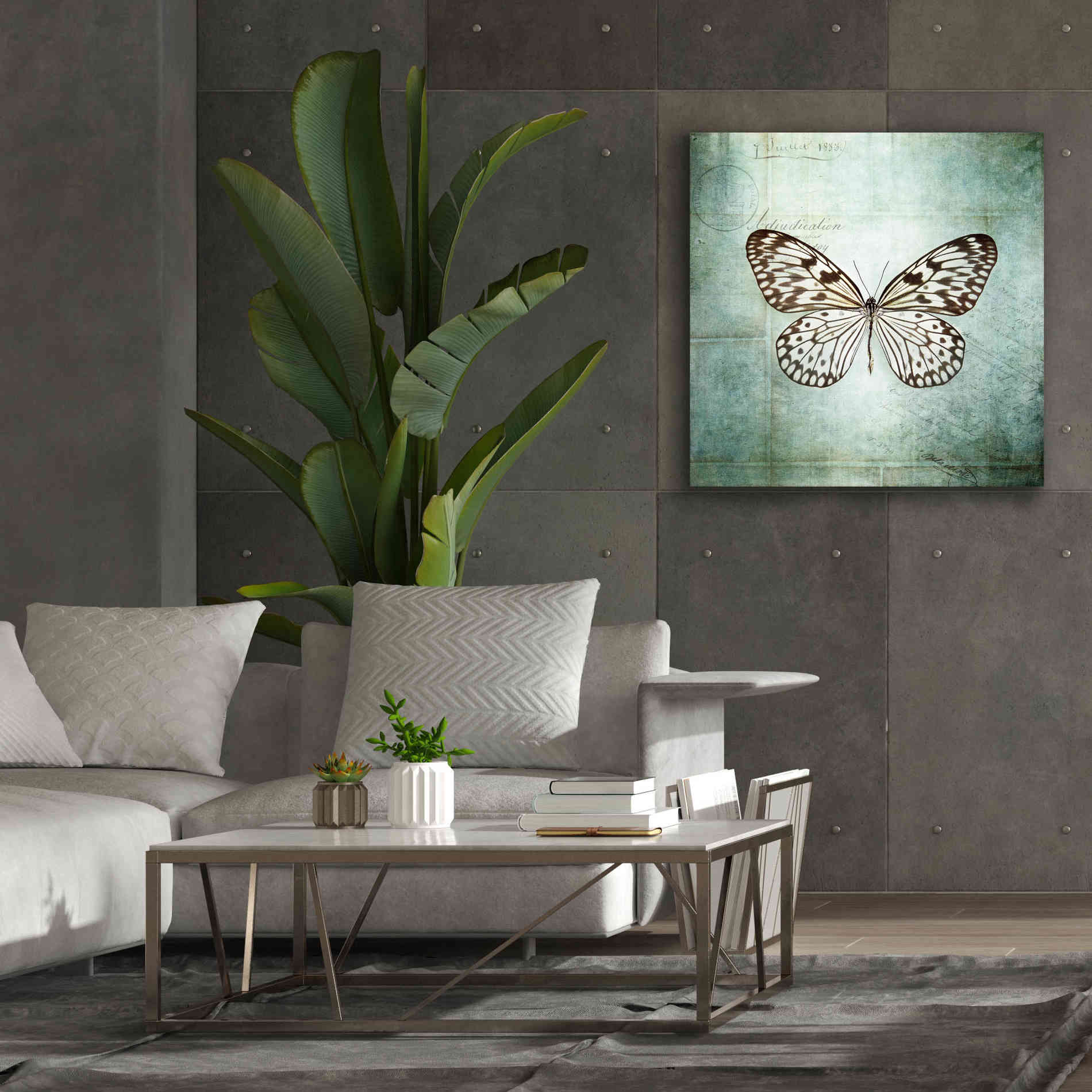 'French Butterfly V' by Debra Van Swearingen, Canvas Wall Art,37 x 37