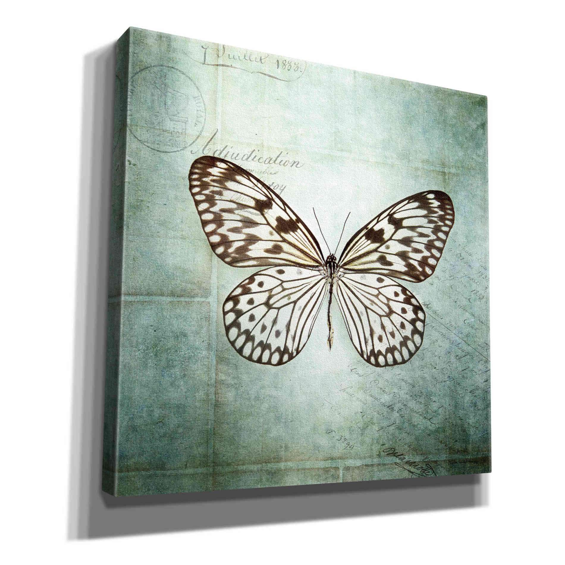 'French Butterfly V' by Debra Van Swearingen, Canvas Wall Art,12x12x1.1x0,18x18x1.1x0,26x26x1.74x0,37x37x1.74x0