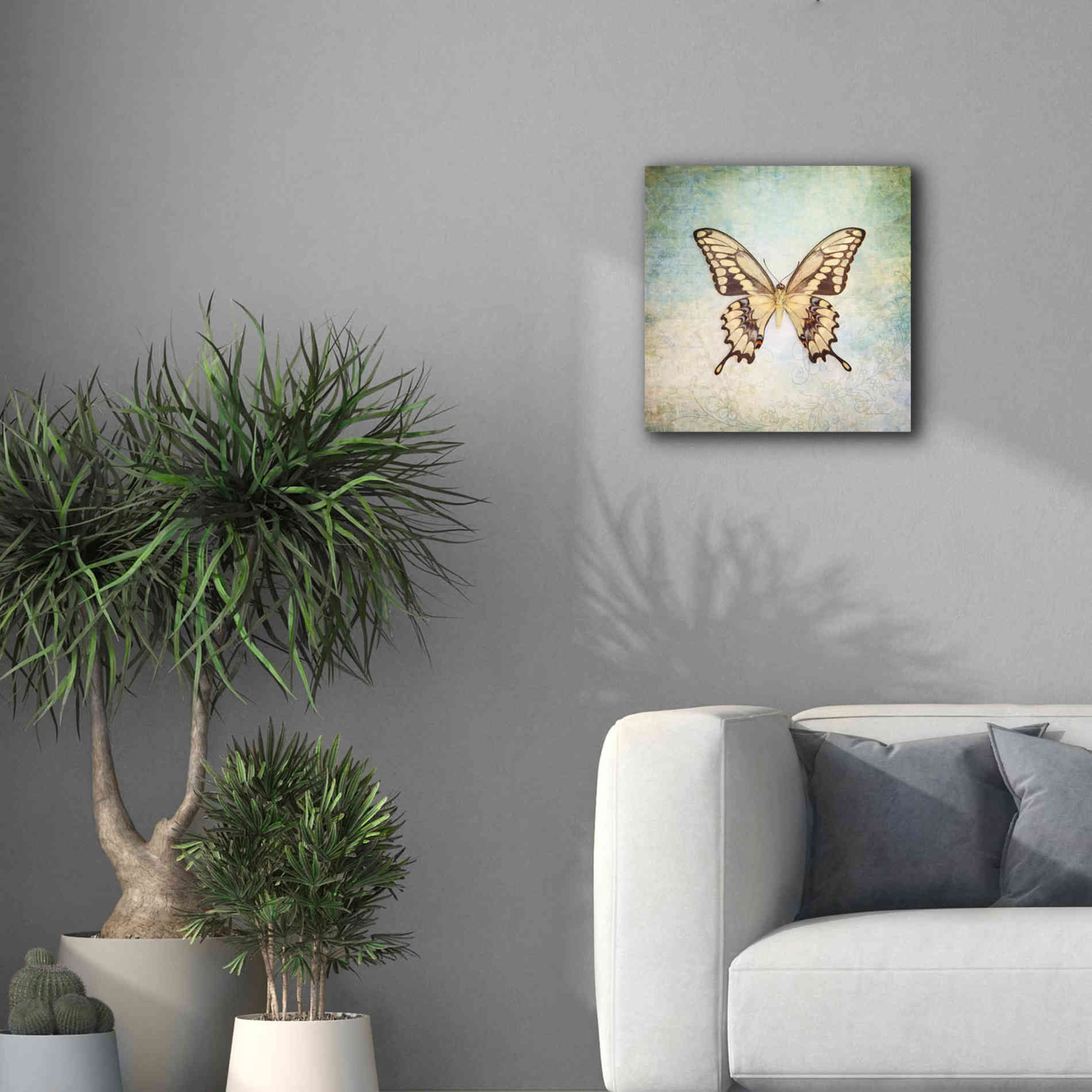 'French Butterfly VI' by Debra Van Swearingen, Canvas Wall Art,18 x 18