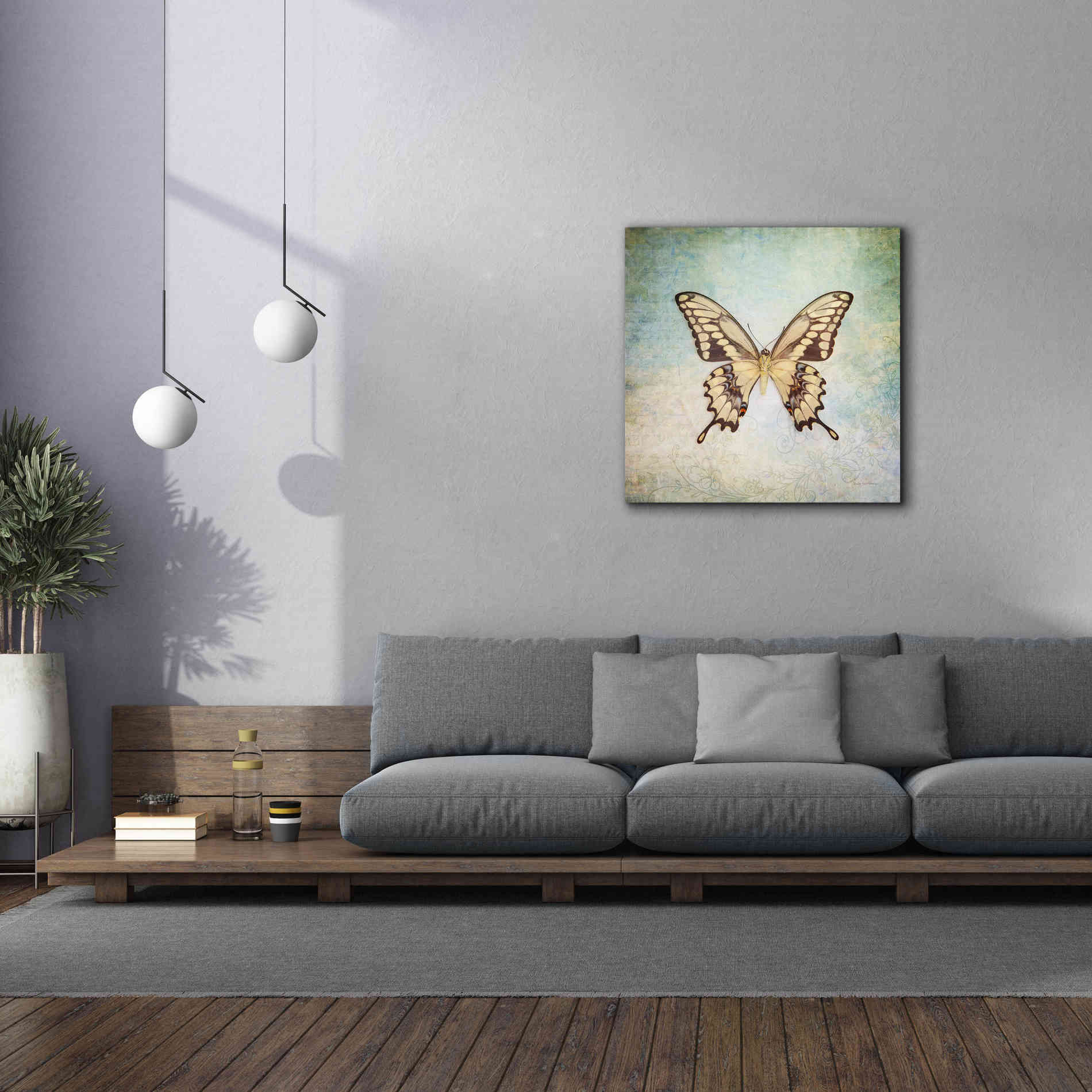 'French Butterfly VI' by Debra Van Swearingen, Canvas Wall Art,37 x 37