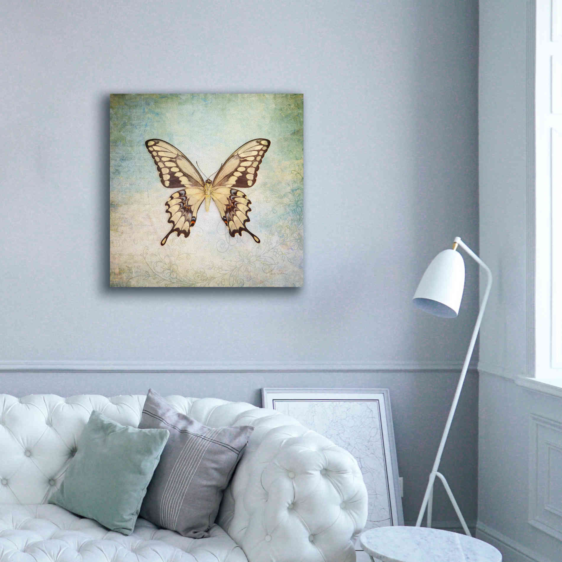 'French Butterfly VI' by Debra Van Swearingen, Canvas Wall Art,37 x 37