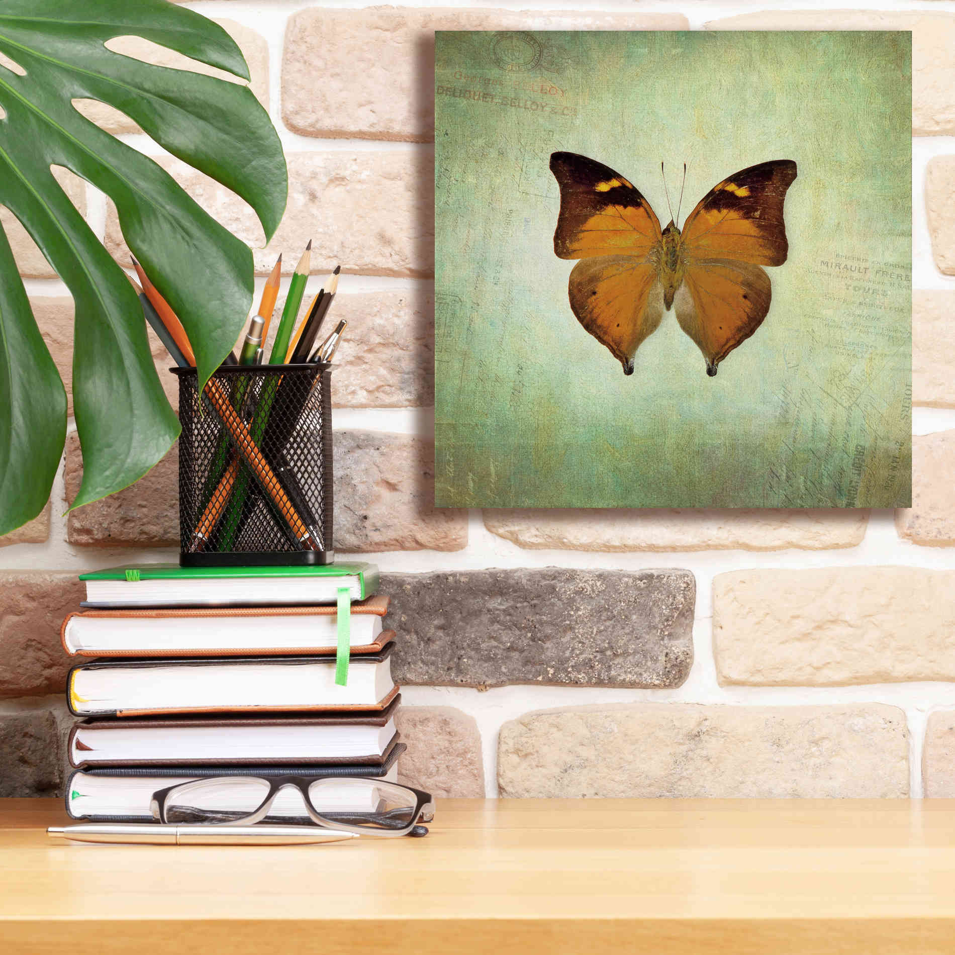 'French Butterfly VII' by Debra Van Swearingen, Canvas Wall Art,12 x 12