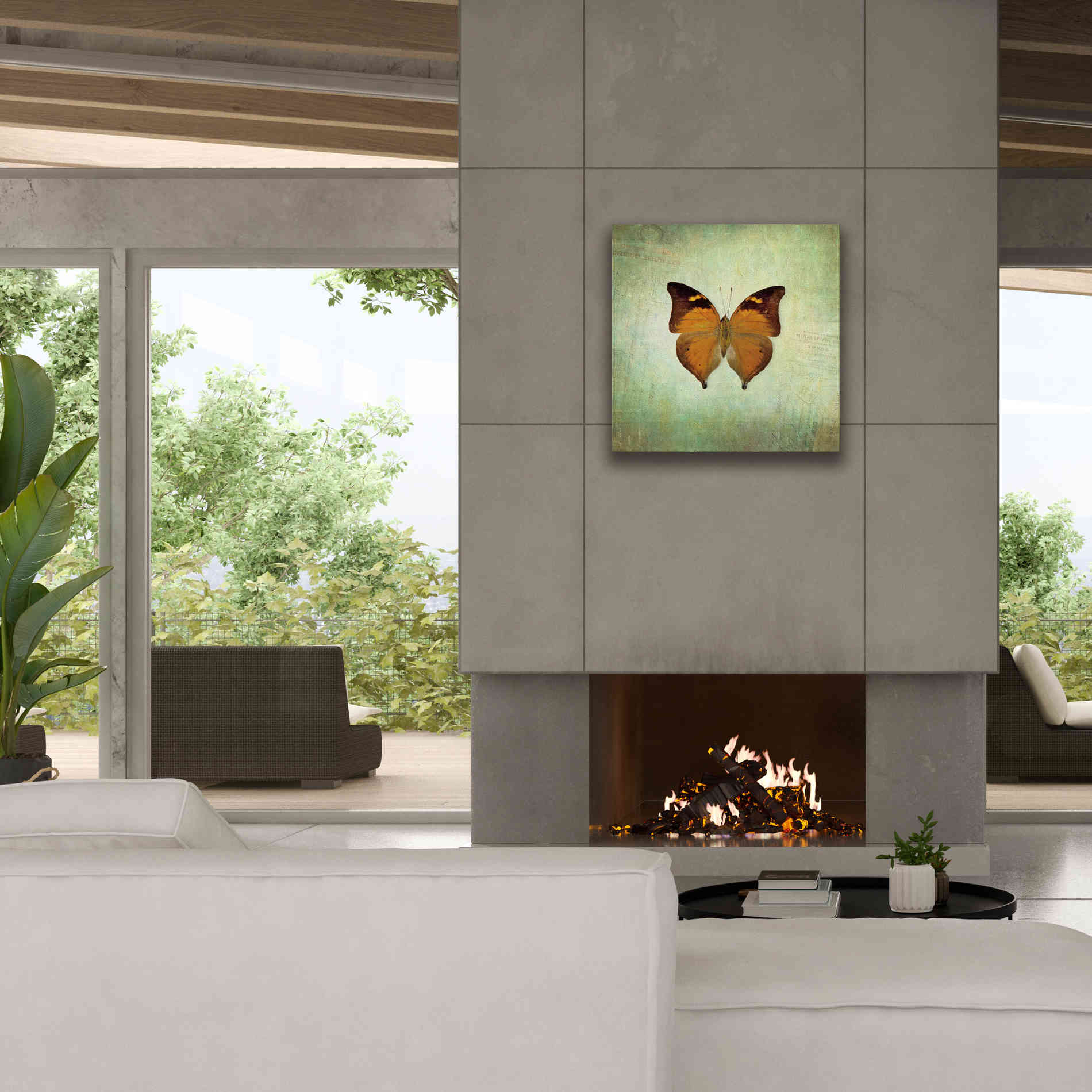 'French Butterfly VII' by Debra Van Swearingen, Canvas Wall Art,26 x 26