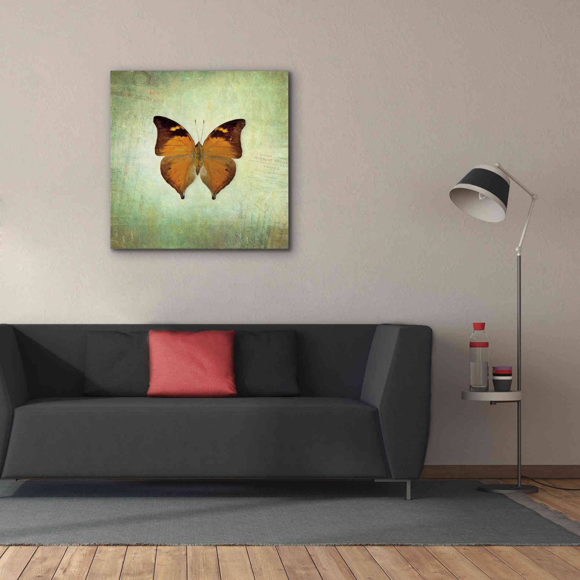 'French Butterfly VII' by Debra Van Swearingen, Canvas Wall Art,37 x 37