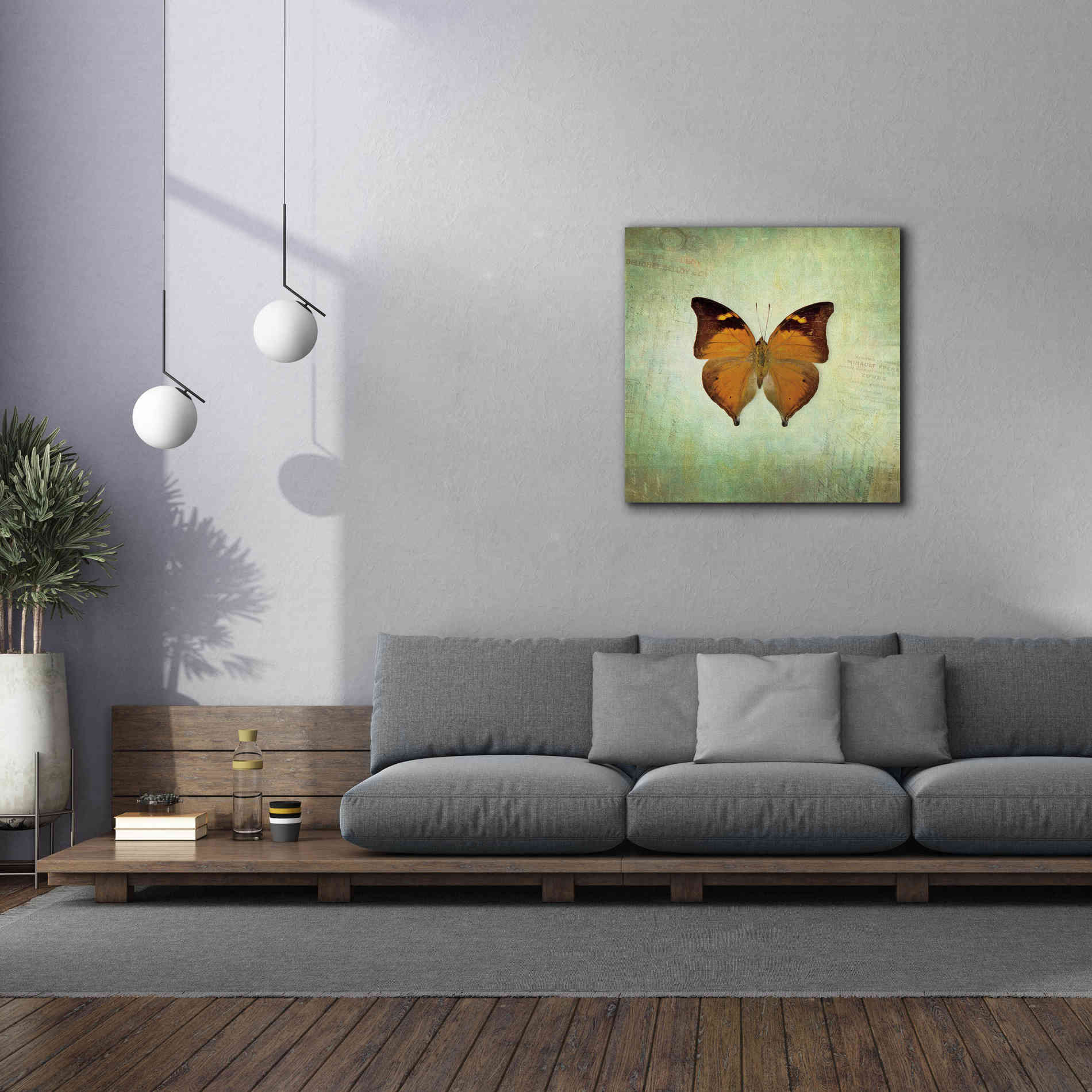 'French Butterfly VII' by Debra Van Swearingen, Canvas Wall Art,37 x 37