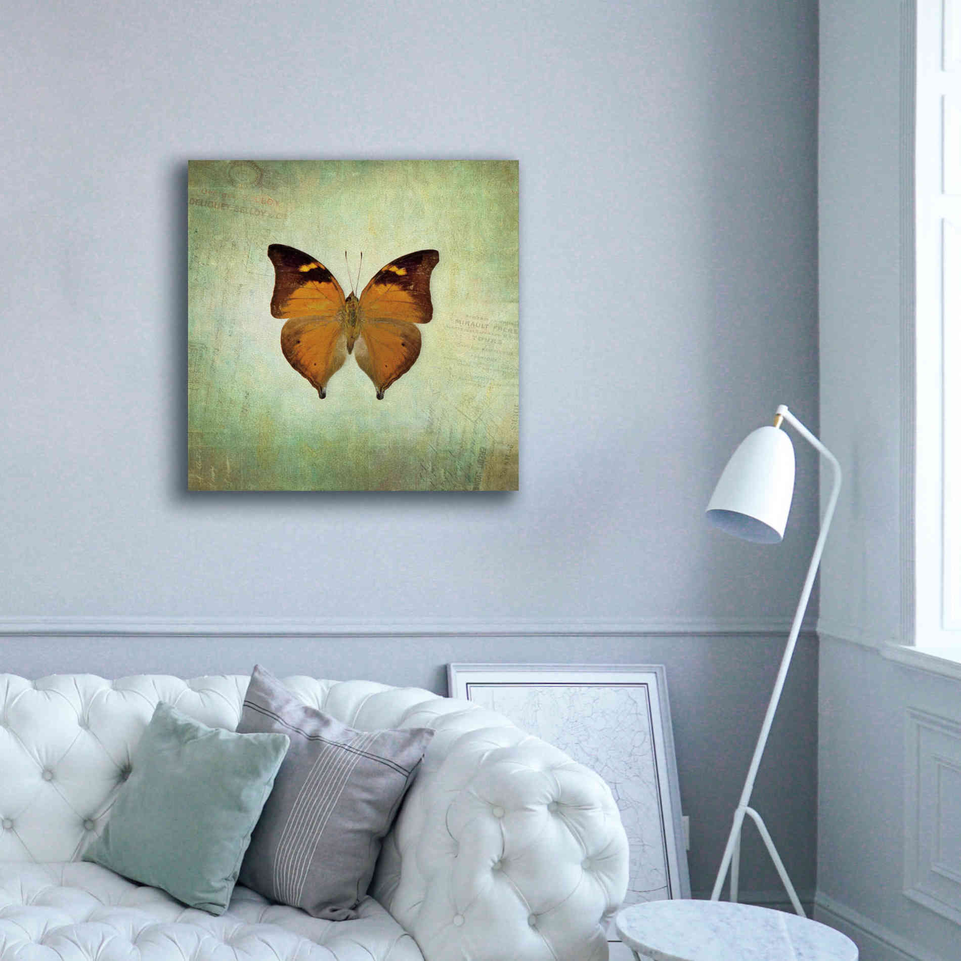 'French Butterfly VII' by Debra Van Swearingen, Canvas Wall Art,37 x 37