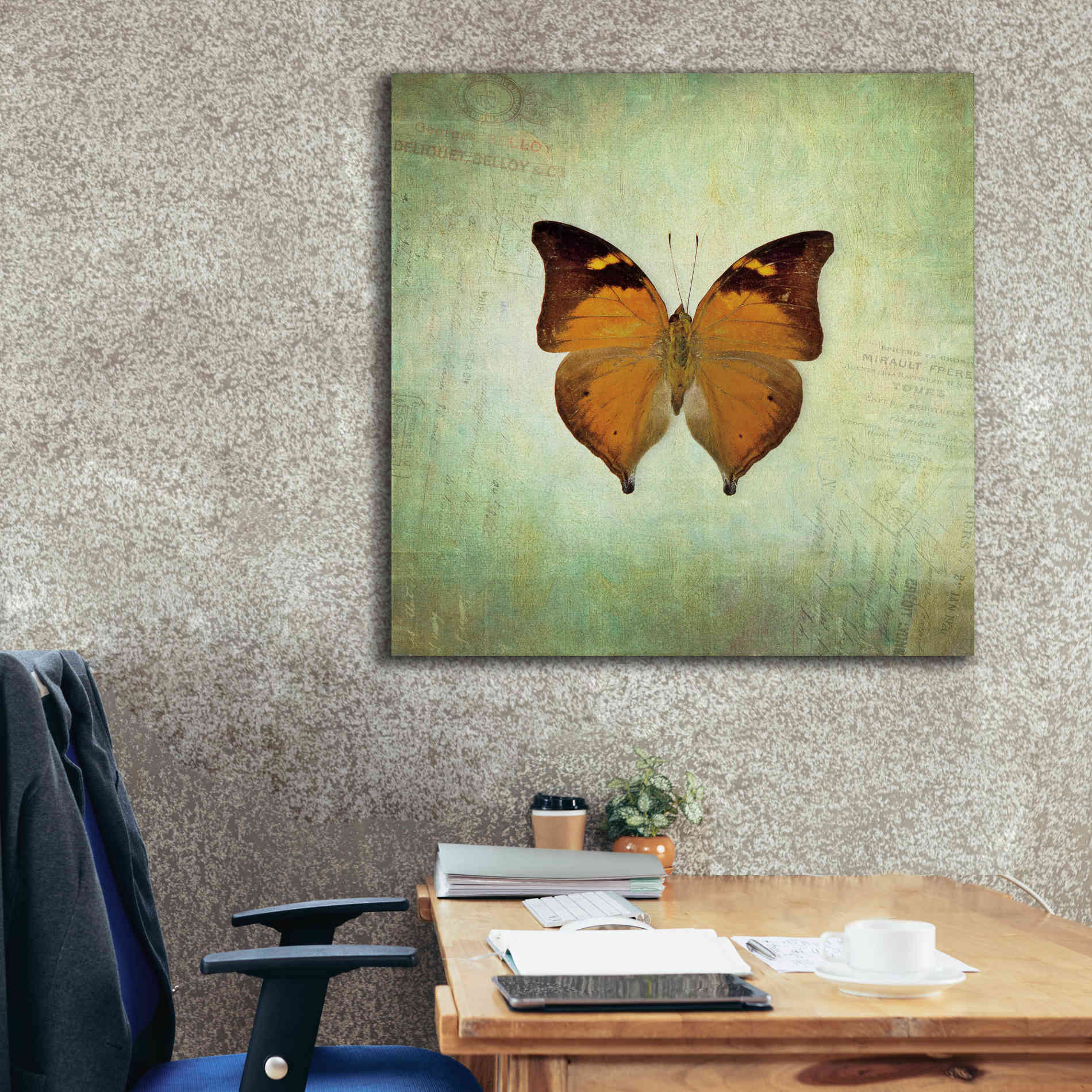 'French Butterfly VII' by Debra Van Swearingen, Canvas Wall Art,37 x 37