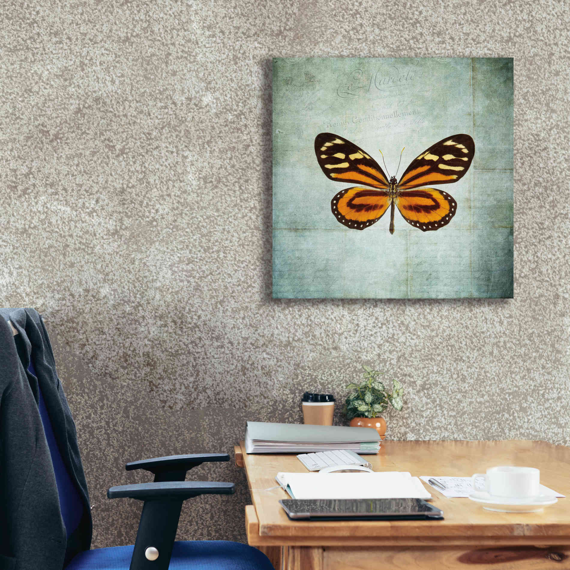 'French Butterfly VIII' by Debra Van Swearingen, Canvas Wall Art,26 x 26