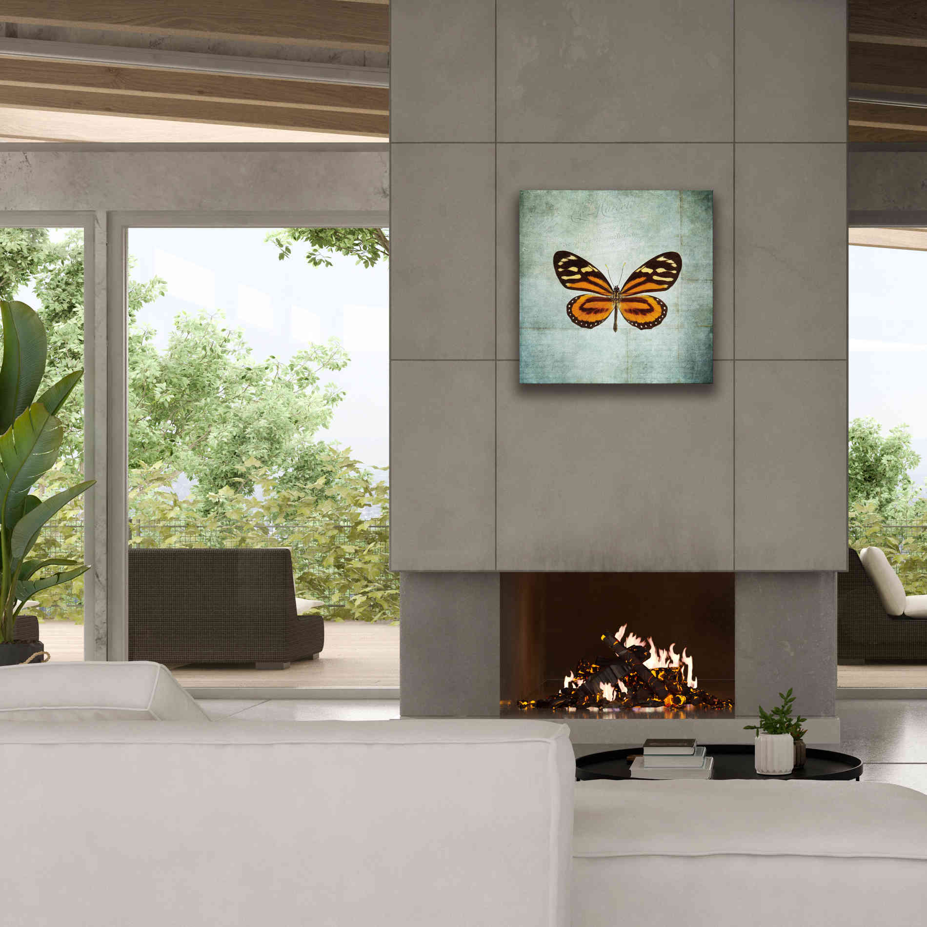 'French Butterfly VIII' by Debra Van Swearingen, Canvas Wall Art,26 x 26