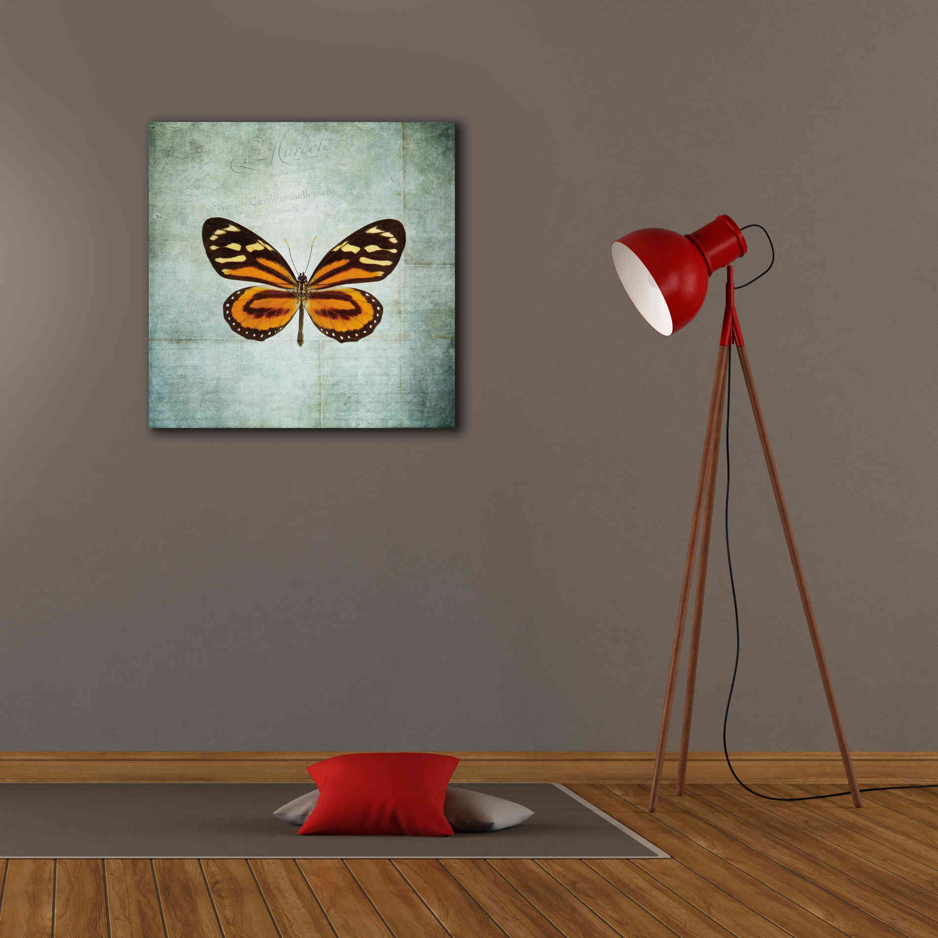 'French Butterfly VIII' by Debra Van Swearingen, Canvas Wall Art,26 x 26