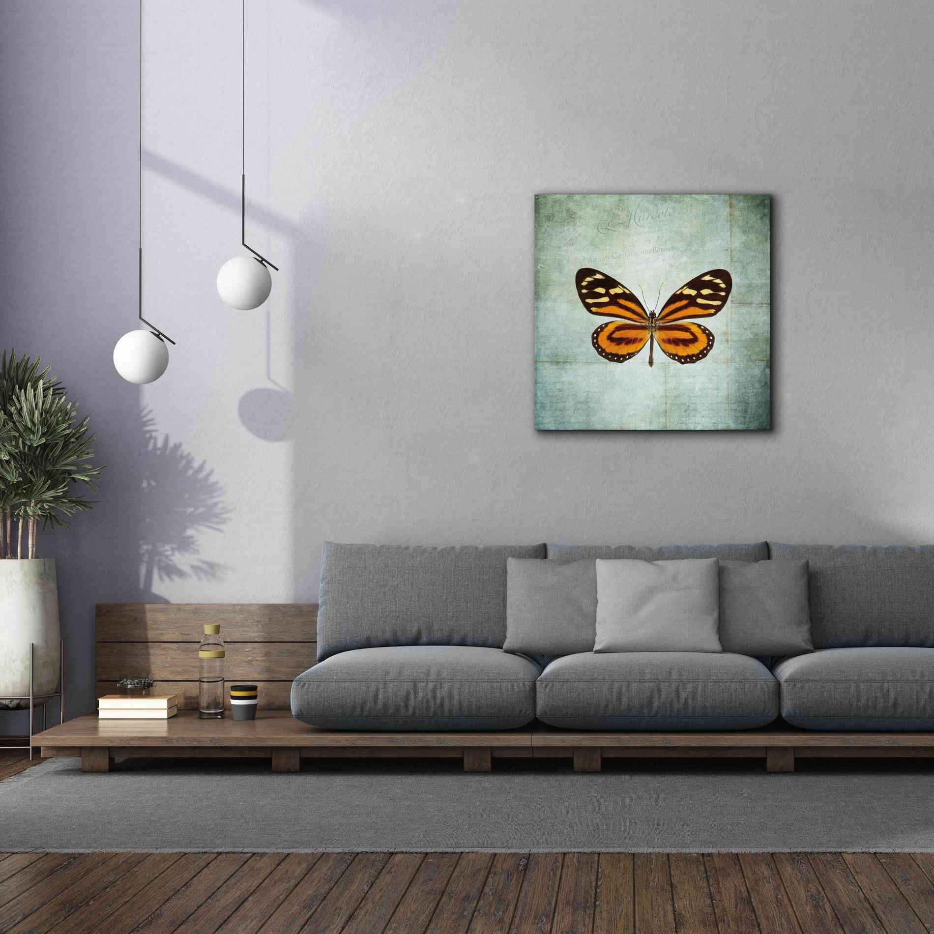 'French Butterfly VIII' by Debra Van Swearingen, Canvas Wall Art,37 x 37