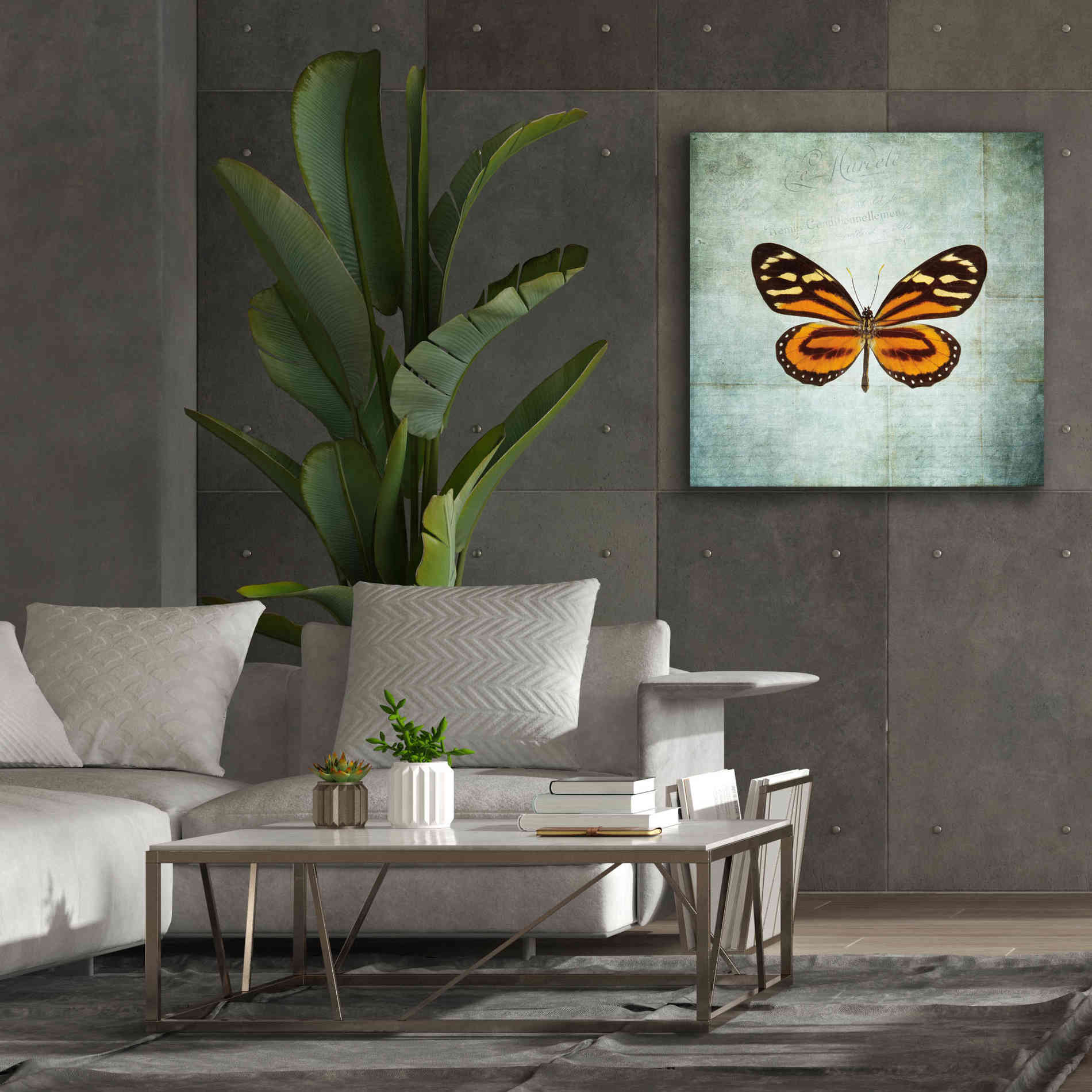 'French Butterfly VIII' by Debra Van Swearingen, Canvas Wall Art,37 x 37