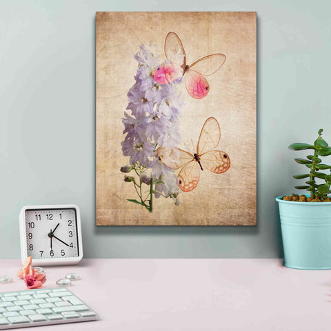 Image of 'Butterfly Botanical I' by Debra Van Swearingen, Canvas Wall Art,12 x 16