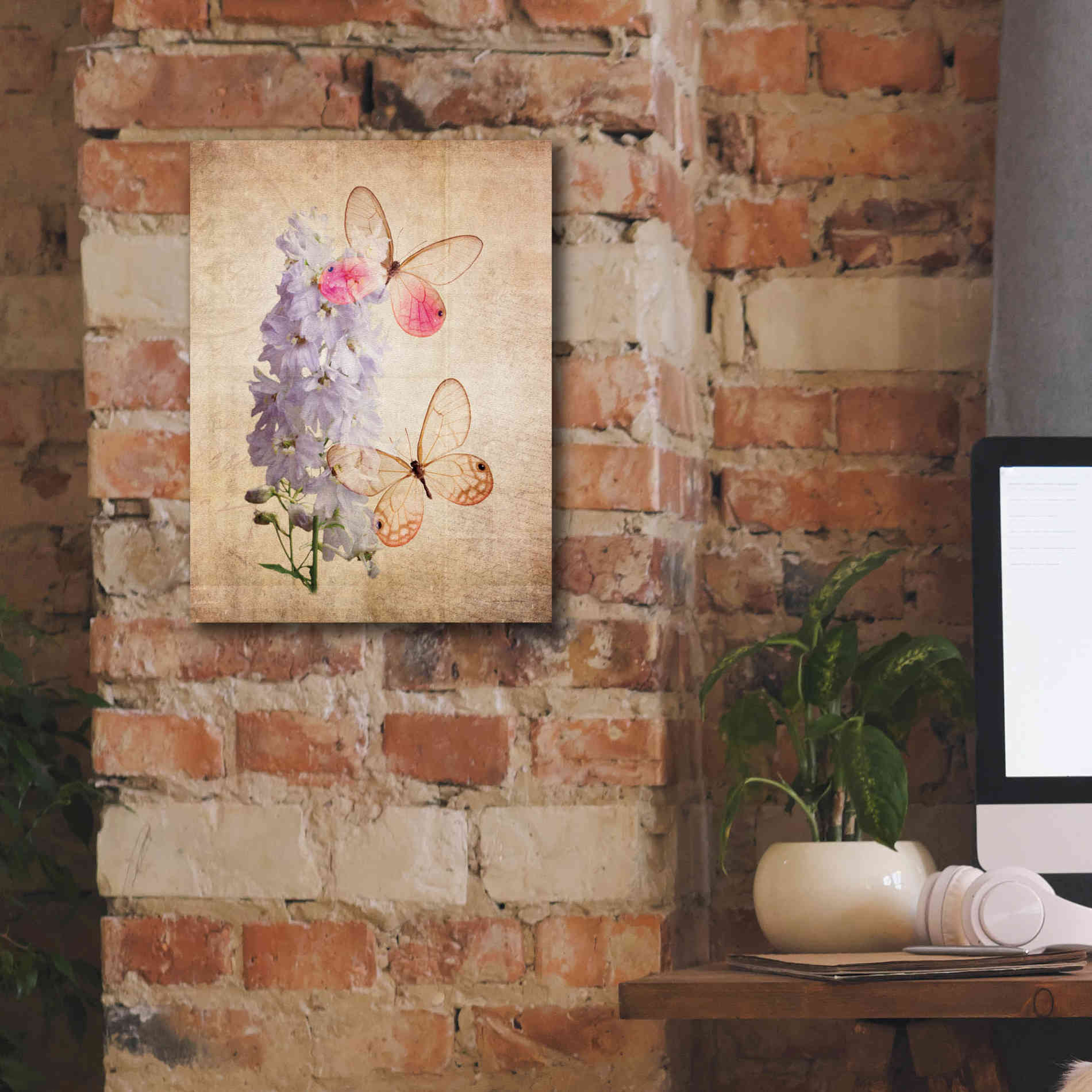 'Butterfly Botanical I' by Debra Van Swearingen, Canvas Wall Art,12 x 16