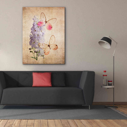 Image of 'Butterfly Botanical I' by Debra Van Swearingen, Canvas Wall Art,40 x 54