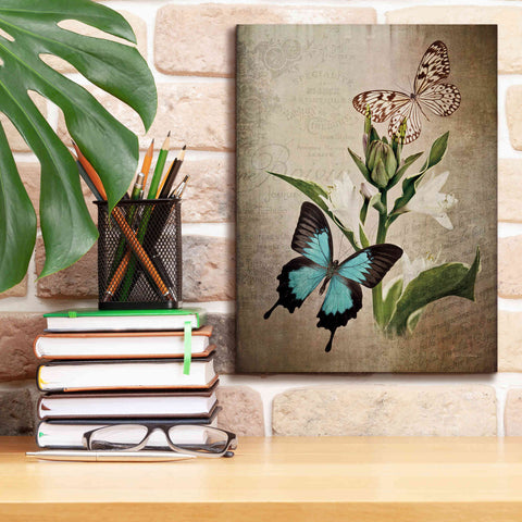 Image of 'Butterfly Botanical II' by Debra Van Swearingen, Canvas Wall Art,12 x 16