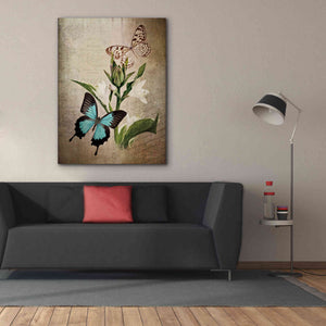 'Butterfly Botanical II' by Debra Van Swearingen, Canvas Wall Art,40 x 54