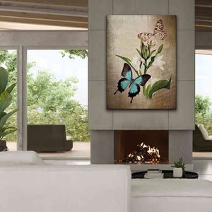 'Butterfly Botanical II' by Debra Van Swearingen, Canvas Wall Art,40 x 54