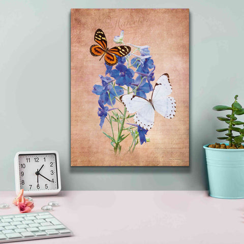 Image of 'Butterfly Botanical III' by Debra Van Swearingen, Canvas Wall Art,12 x 16