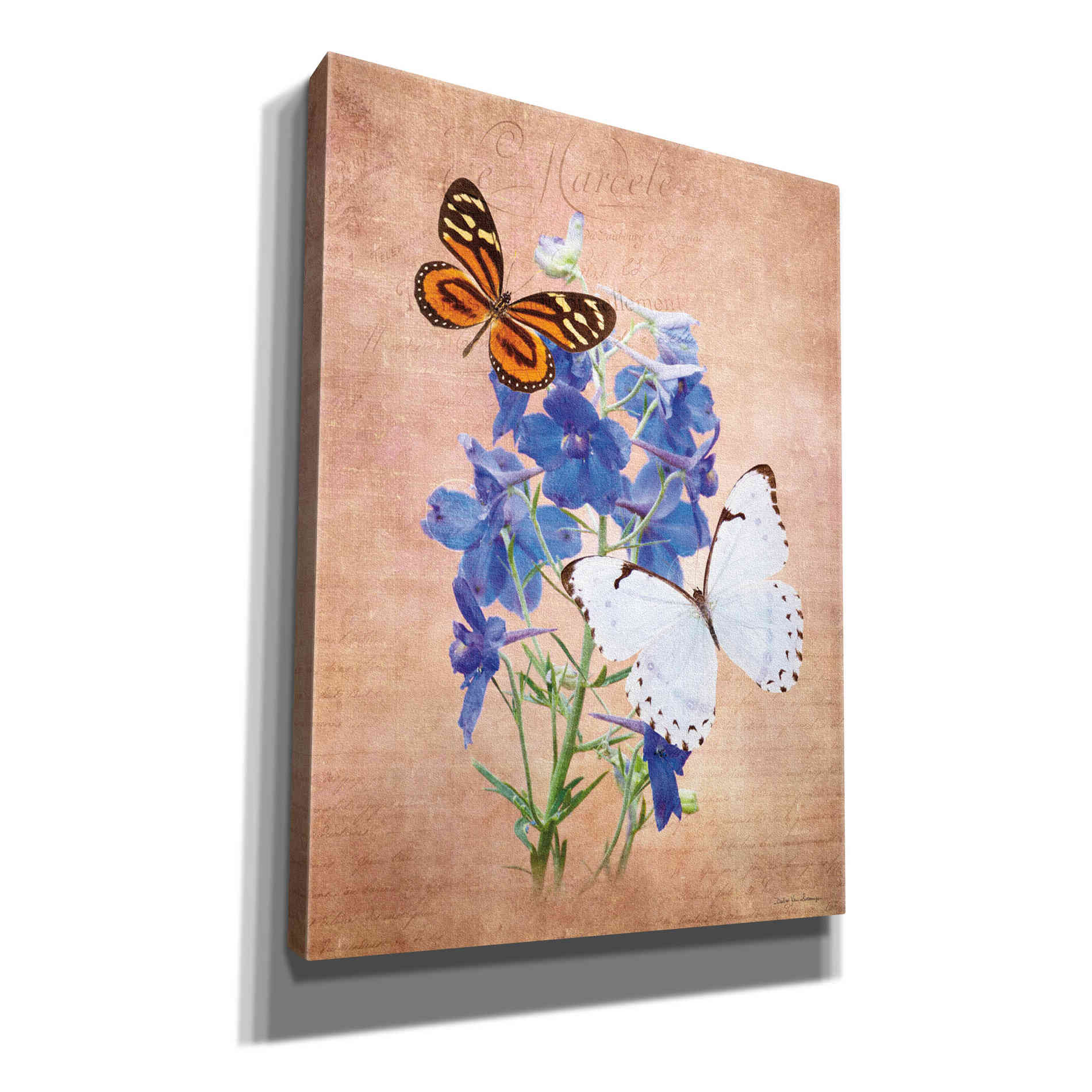 'Butterfly Botanical III' by Debra Van Swearingen, Canvas Wall Art,12x16x1.1x0,20x24x1.1x0,26x30x1.74x0,40x54x1.74x0