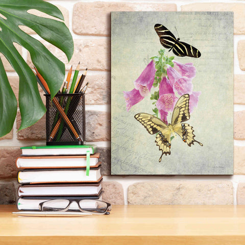 Image of 'Butterfly Botanical IV' by Debra Van Swearingen, Canvas Wall Art,12 x 16