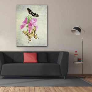 'Butterfly Botanical IV' by Debra Van Swearingen, Canvas Wall Art,40 x 54