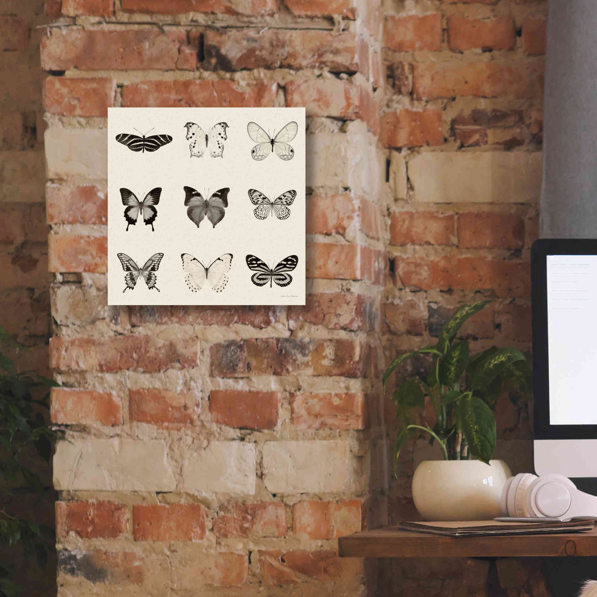 'Butterfly BW 9 Patch' by Debra Van Swearingen, Canvas Wall Art,12 x 12