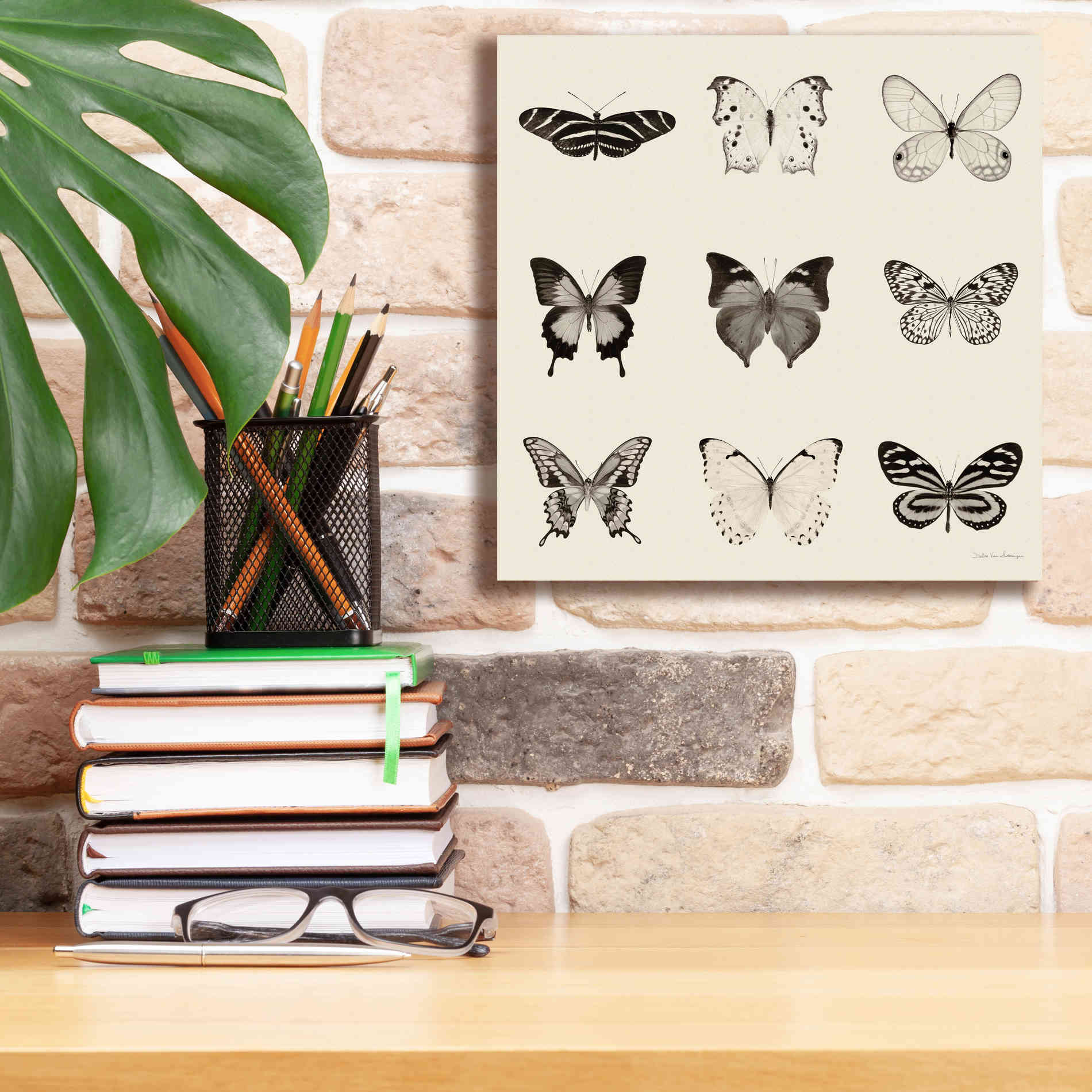 'Butterfly BW 9 Patch' by Debra Van Swearingen, Canvas Wall Art,12 x 12
