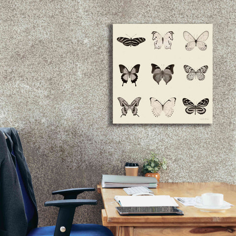 Image of 'Butterfly BW 9 Patch' by Debra Van Swearingen, Canvas Wall Art,26 x 26