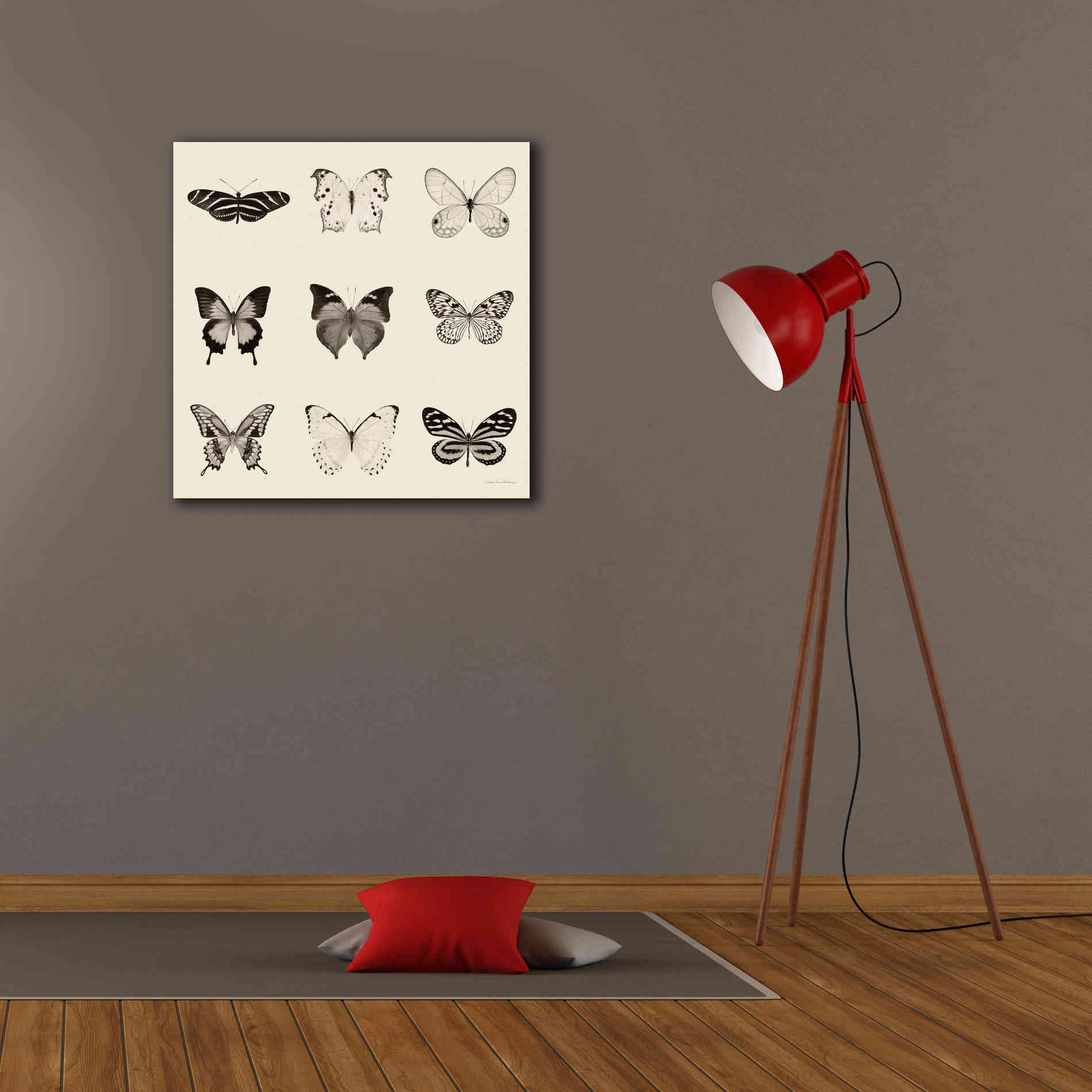 'Butterfly BW 9 Patch' by Debra Van Swearingen, Canvas Wall Art,26 x 26