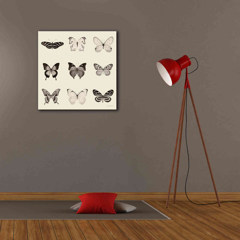 Image of 'Butterfly BW 9 Patch' by Debra Van Swearingen, Canvas Wall Art,26 x 26