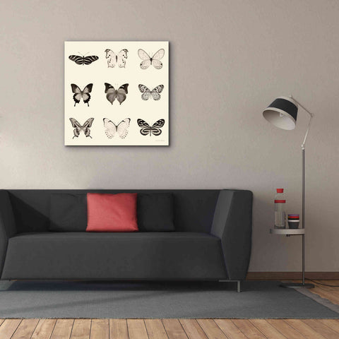 Image of 'Butterfly BW 9 Patch' by Debra Van Swearingen, Canvas Wall Art,37 x 37
