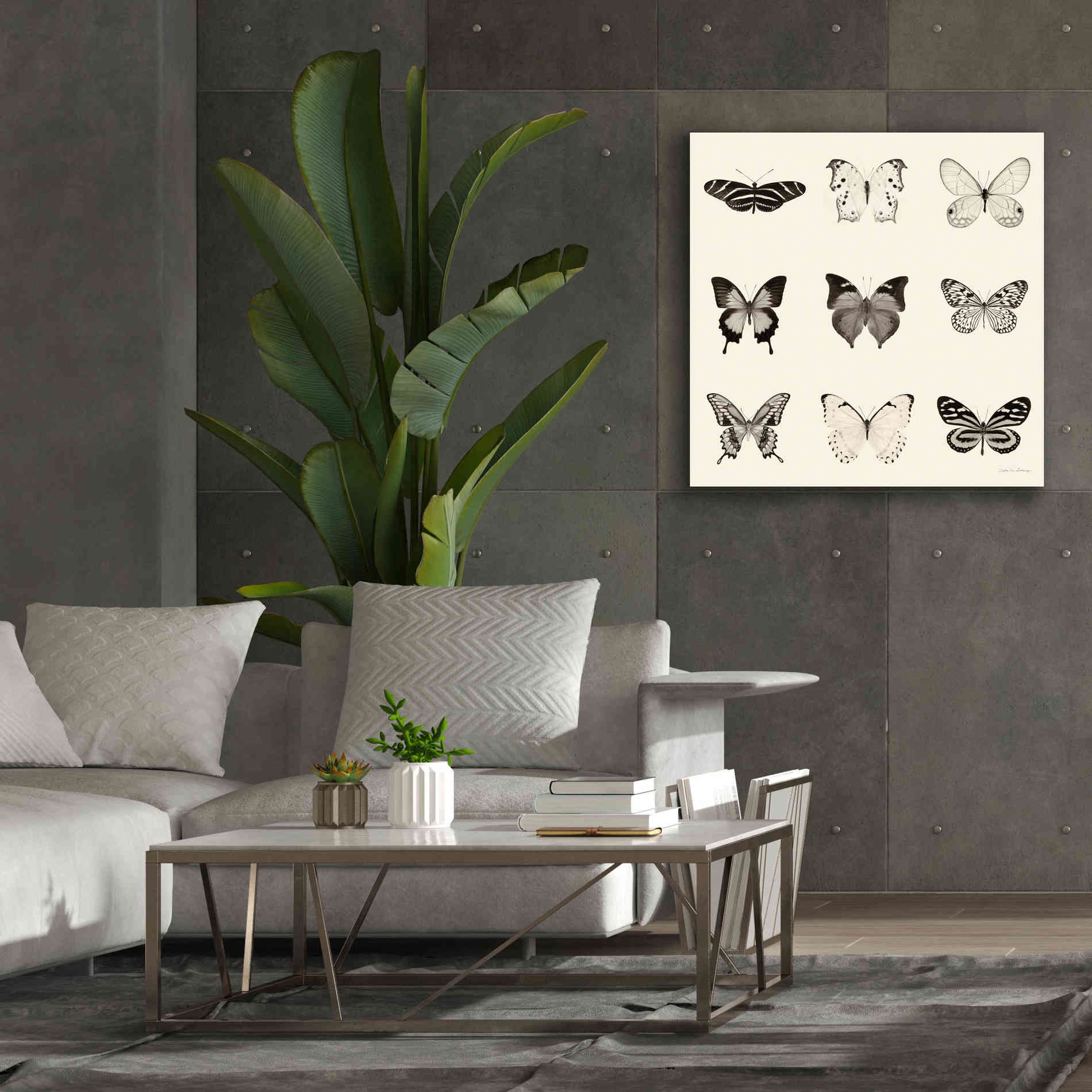 'Butterfly BW 9 Patch' by Debra Van Swearingen, Canvas Wall Art,37 x 37