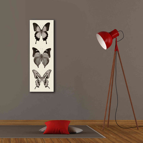 Image of 'Butterfly BW Panel I' by Debra Van Swearingen, Canvas Wall Art,12 x 36