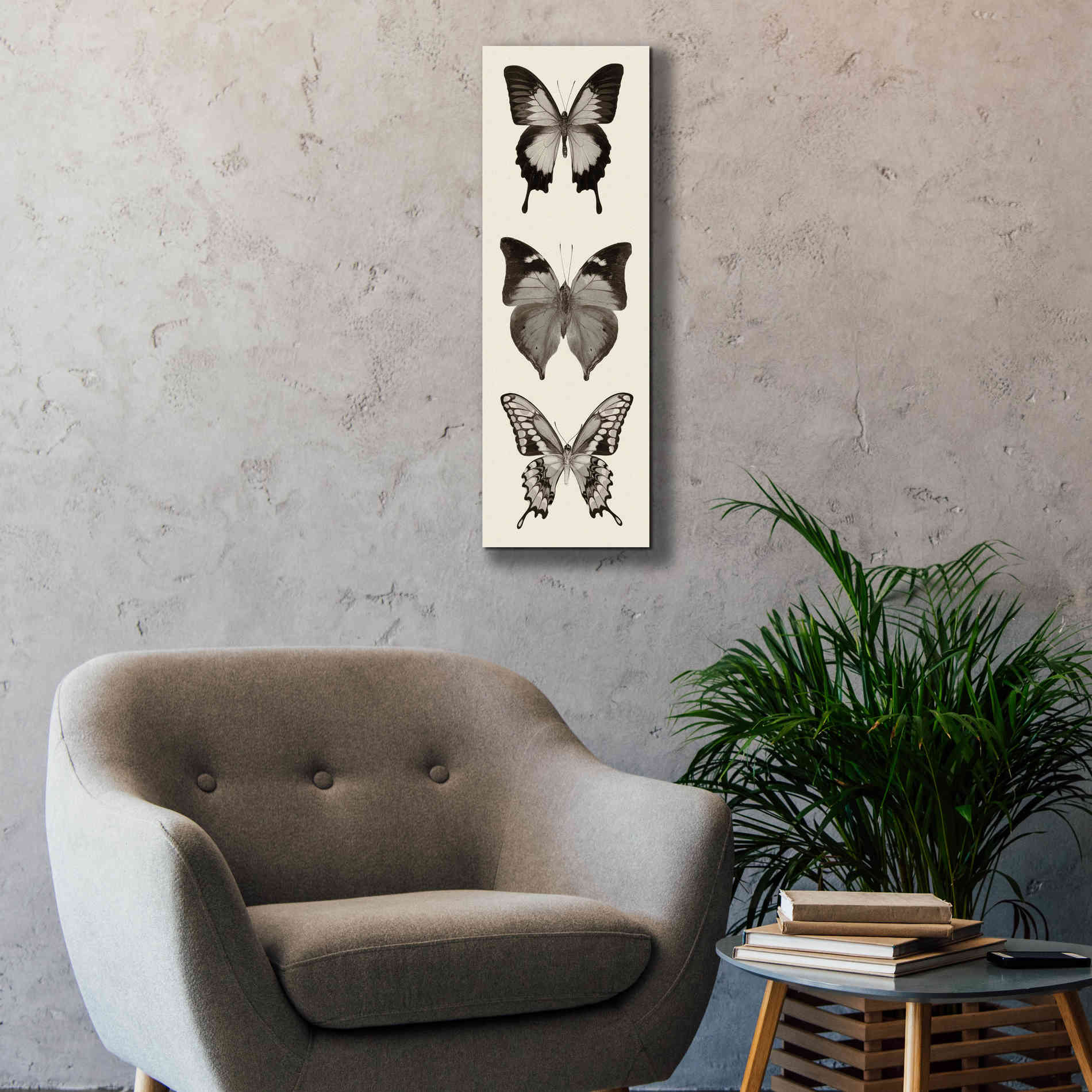 'Butterfly BW Panel I' by Debra Van Swearingen, Canvas Wall Art,12 x 36