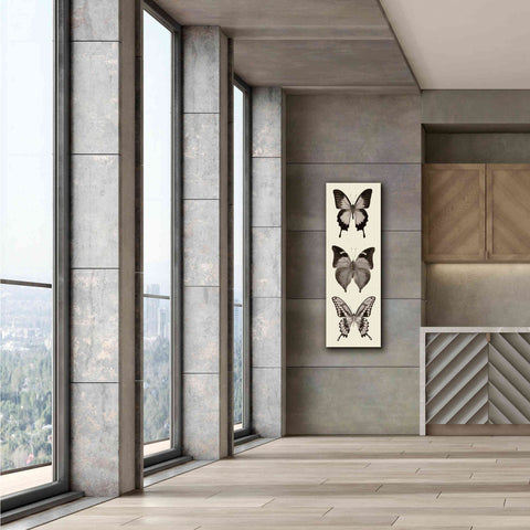 Image of 'Butterfly BW Panel I' by Debra Van Swearingen, Canvas Wall Art,20 x 60
