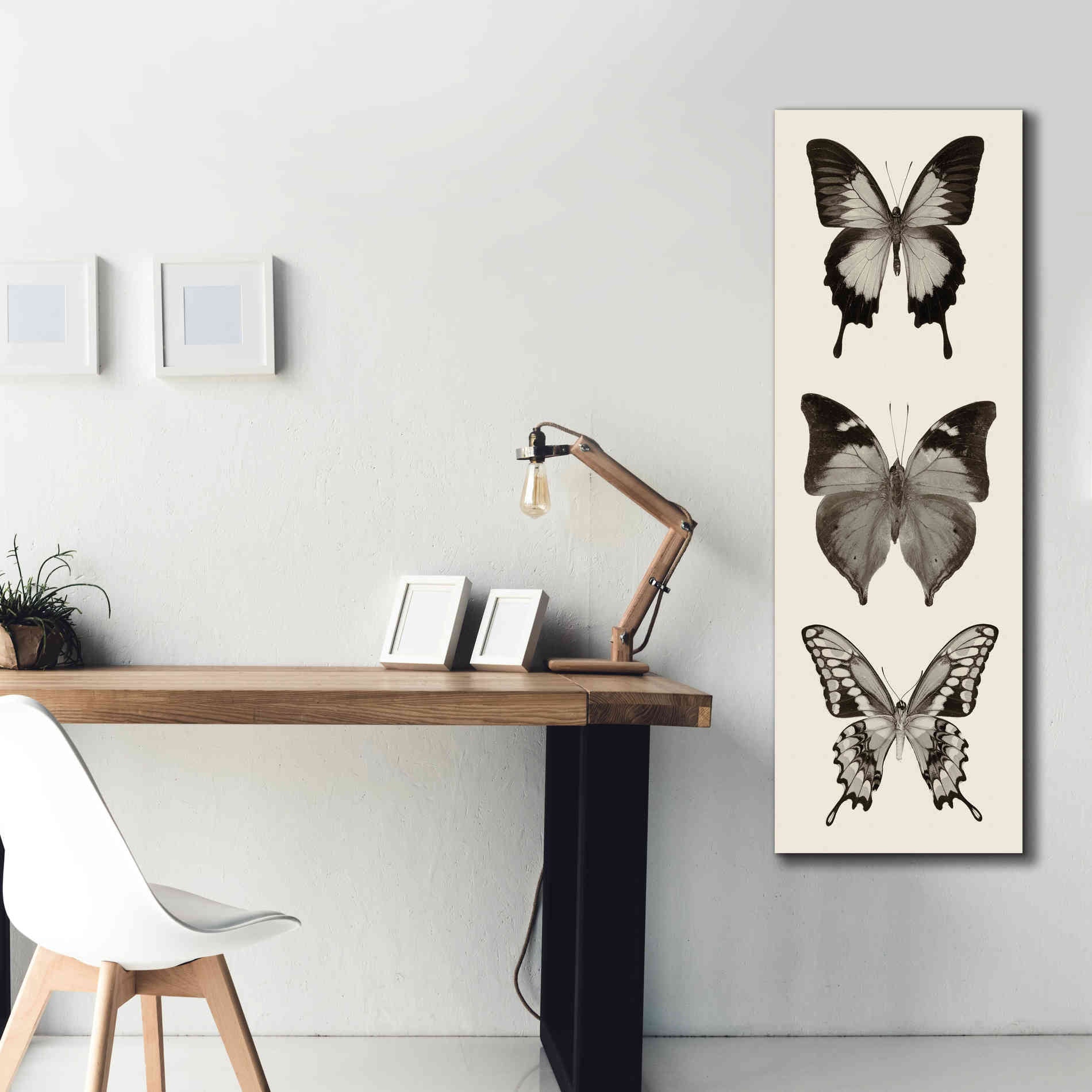 'Butterfly BW Panel I' by Debra Van Swearingen, Canvas Wall Art,20 x 60