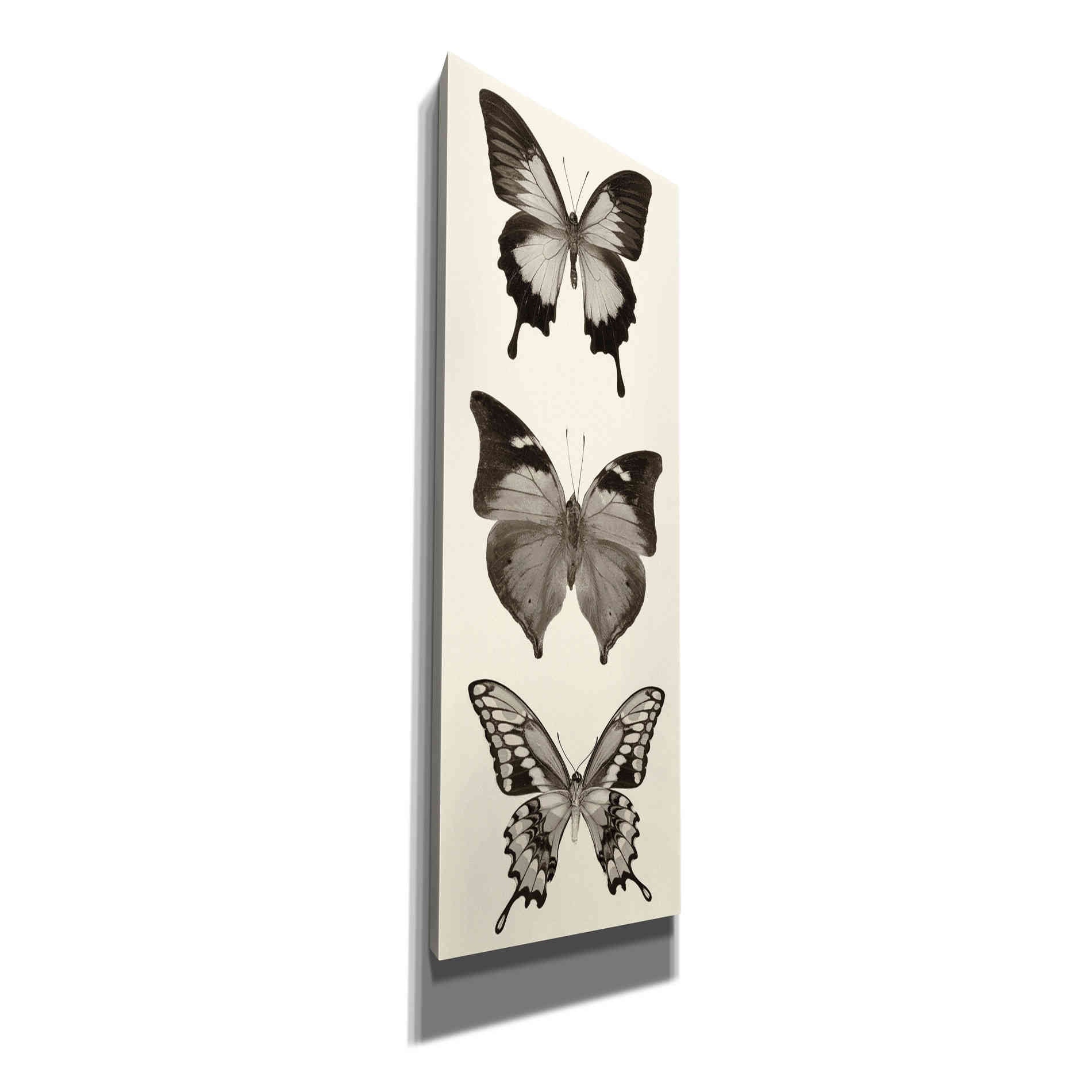 'Butterfly BW Panel I' by Debra Van Swearingen, Canvas Wall Art,12x36x1.74x0,20x60x1.74x0