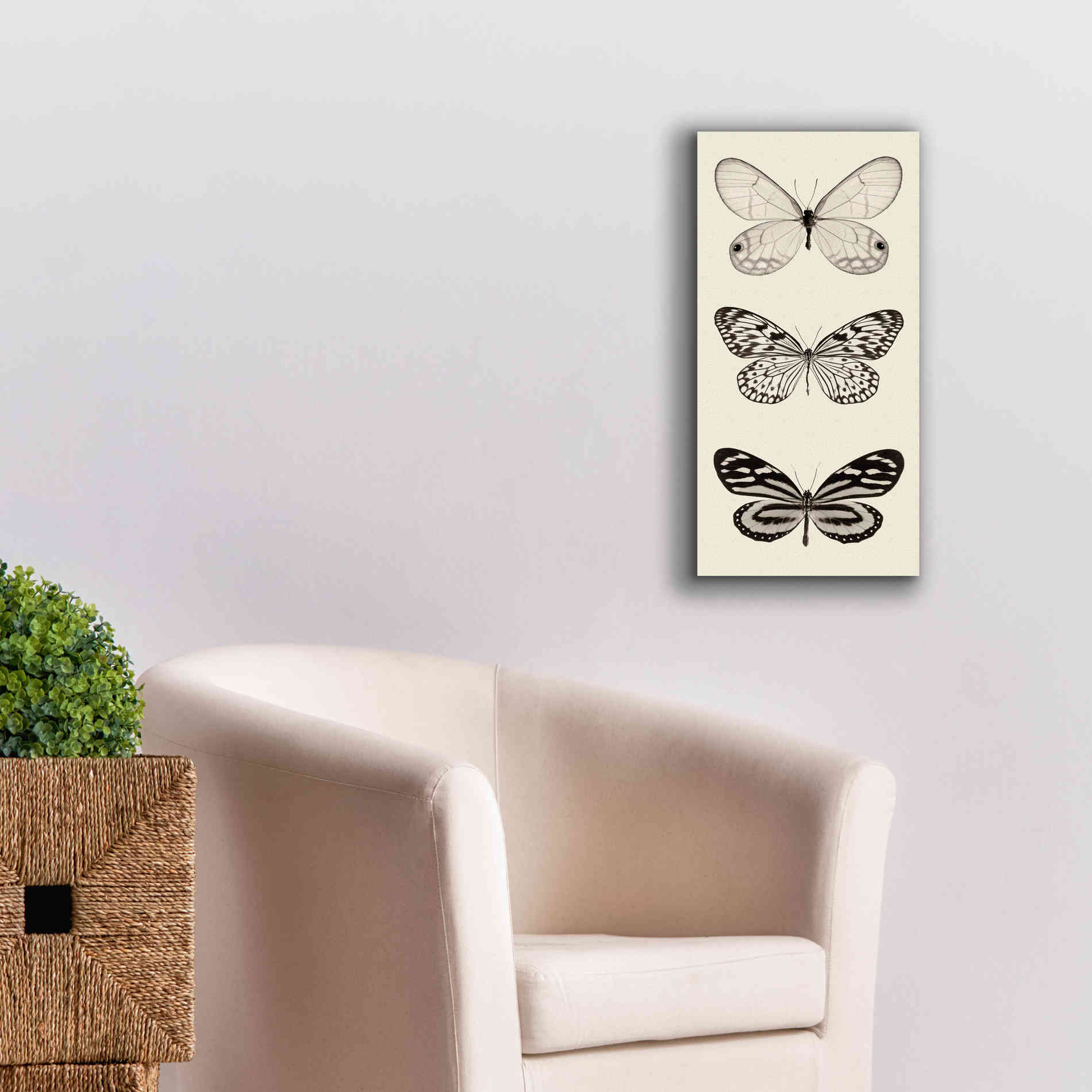 'Butterfly BW Panel II' by Debra Van Swearingen, Canvas Wall Art,12 x 24