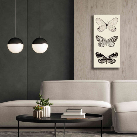 Image of 'Butterfly BW Panel II' by Debra Van Swearingen, Canvas Wall Art,20 x 40