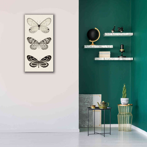 Image of 'Butterfly BW Panel II' by Debra Van Swearingen, Canvas Wall Art,20 x 40
