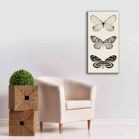 Image of 'Butterfly BW Panel II' by Debra Van Swearingen, Canvas Wall Art,20 x 40