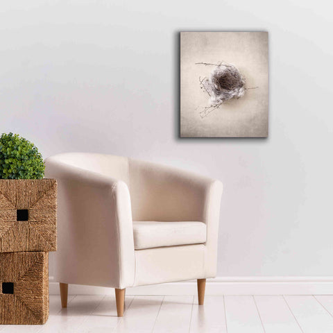Image of 'Nest III' by Debra Van Swearingen, Canvas Wall Art,20 x 24
