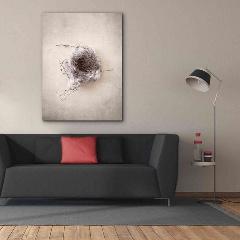 Image of 'Nest III' by Debra Van Swearingen, Canvas Wall Art,40 x 54