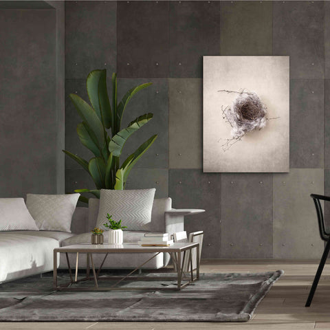 Image of 'Nest III' by Debra Van Swearingen, Canvas Wall Art,40 x 54
