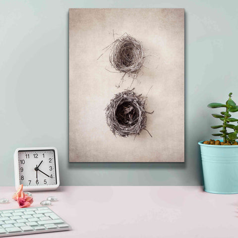Image of 'Nest IV' by Debra Van Swearingen, Canvas Wall Art,12 x 16