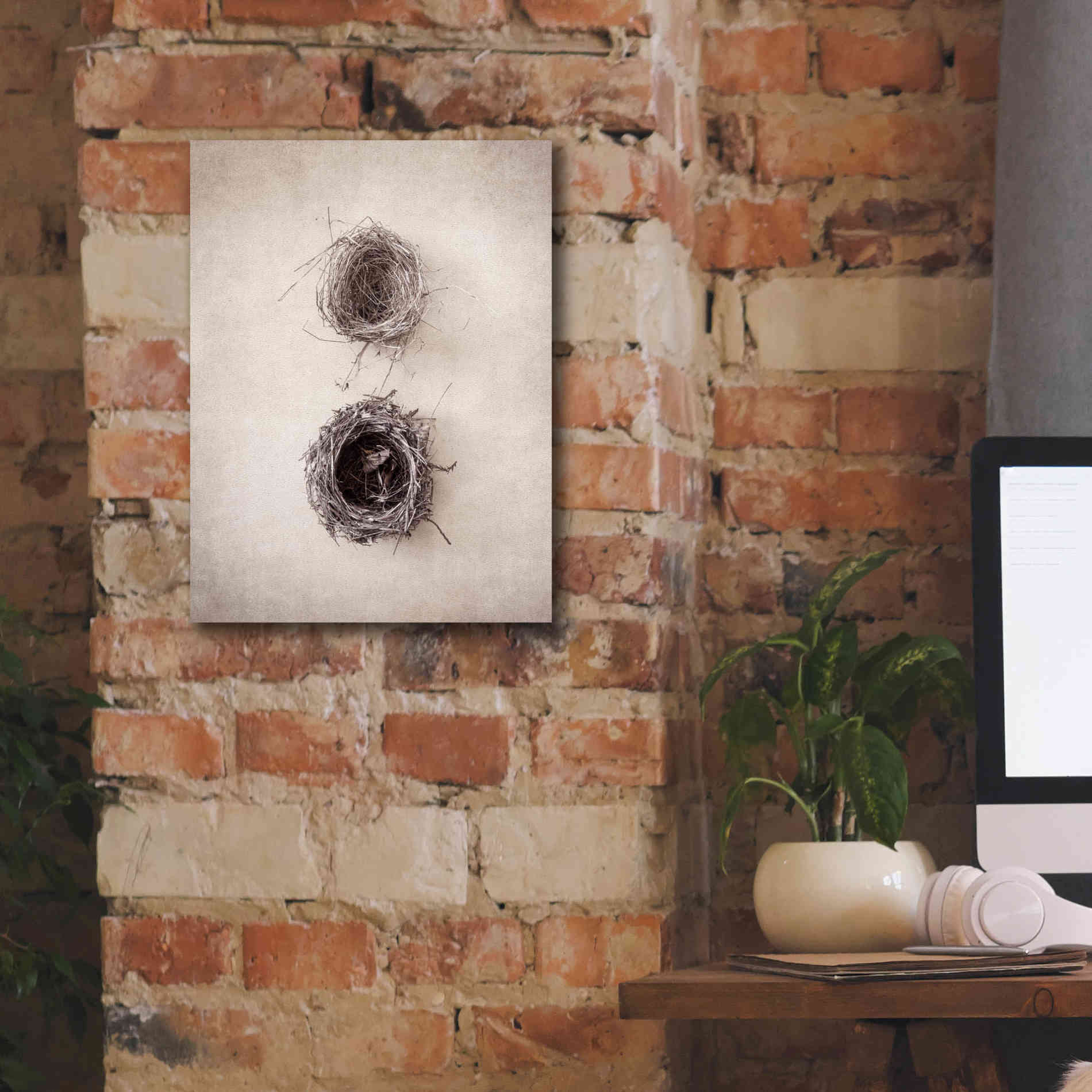 'Nest IV' by Debra Van Swearingen, Canvas Wall Art,12 x 16