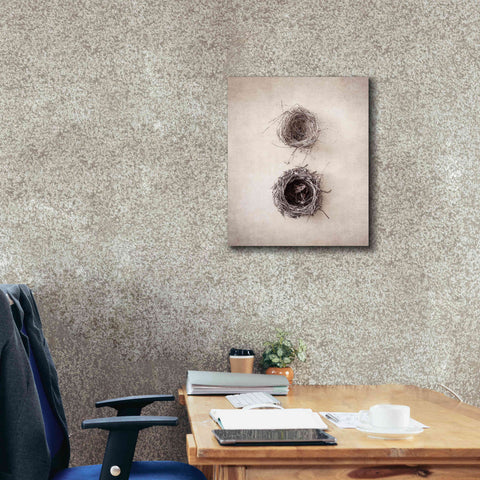 Image of 'Nest IV' by Debra Van Swearingen, Canvas Wall Art,20 x 24