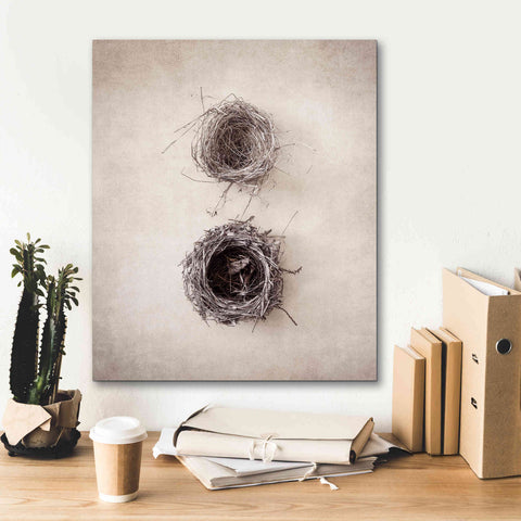 Image of 'Nest IV' by Debra Van Swearingen, Canvas Wall Art,20 x 24